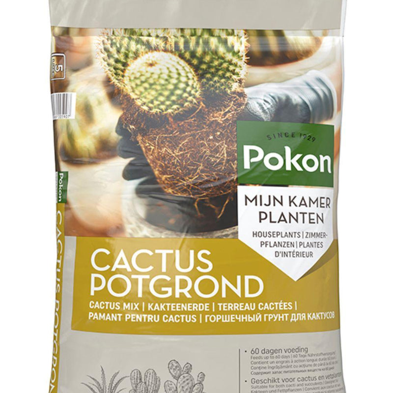Pokon Kakteen & Sukkulenten Blumenerde - 5L: Optimal für Trockenheit & Belüftung