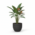 Pot Bordo New Egg Earth D80 x H66 Bild 3