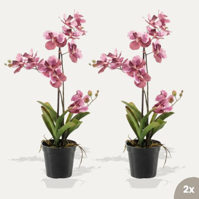 Orchidee Vanda rosa 2 Stück - Bündelprodukt - Kunstpflanzen