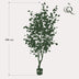 Kunstpflanze Eucalyptusbaum 'Blauer Gummibaum' - 140 cm Bild 2
