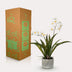 Künstliche Orchidee Weiß - 45cm - Lebensechte Deko für Ihr Zuhause Bild 5