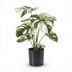 Artificial Potted Monstera, 40cm - Easy-Care Decorative Plant Bild 1