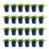 Green boutiQ - Perennial - Phlox Benita - Flame Flower - Ground Cover - Blue - 24 Plants - Pot 11cm - Height 15-25cm Bild 3