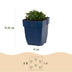 Green boutiQ - Perennial - Campanula portenschlagiana - Peach-leaved bellflower - Ground cover - Pink - 24 Plants - Pot 11cm - Height 15-25cm Bild 3