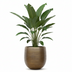 Pot Rowen Gold - Elegant Planter 60x62 cm Bild 3