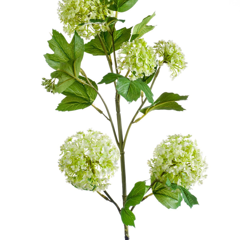 Kunstblumen Solo Viburnum Opulus Zweige Creme 75 cm x 4