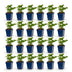 Green boutiQ - Perennial - Persicaria Tricolour - Knotweed - Shade - Red - Pink - White - 24 Plants - Pot 11cm - Height 15-25cm Bild 1