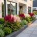 Green boutiQ - Perennial - Astilbe Tricolour - Feather Spirea - Shade - Purple - Pink - White - 24 Plants - Pot 11cm - Height 15-25cm Bild 6