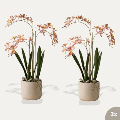 Renanthera Orchidee rosa 2 Stück - Bündelprodukt - Kunstpflanzen