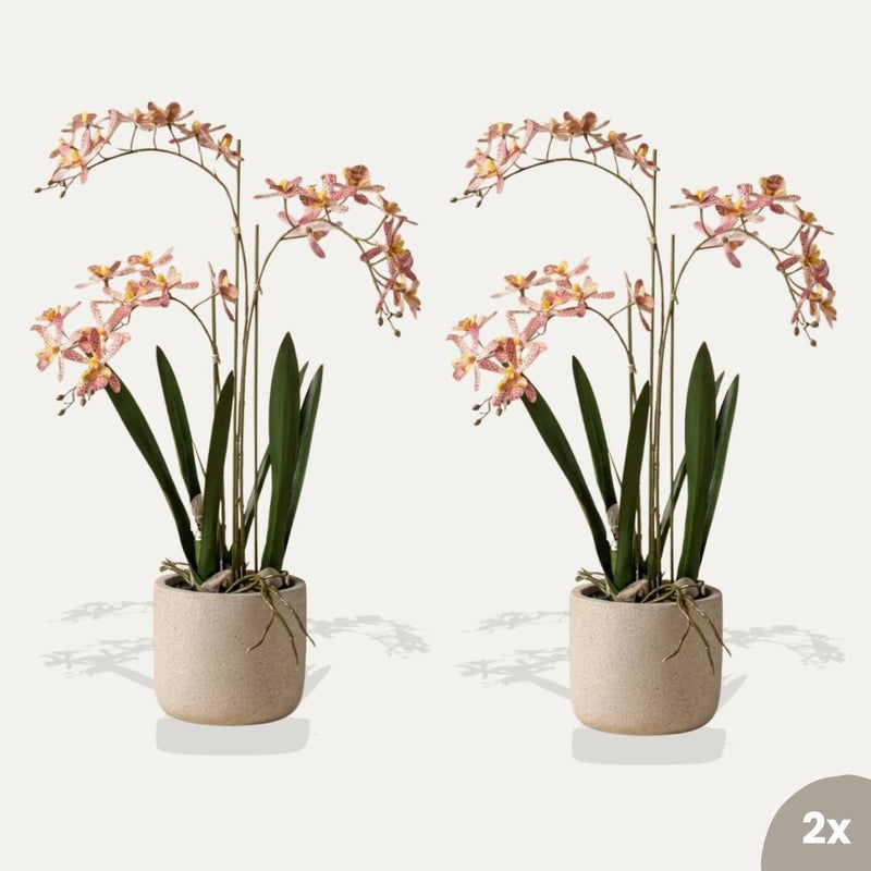 Renanthera Orchidee rosa 2 Stück - Bündelprodukt - Kunstpflanzen