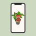 Sinocalycanthus 'Hartlage Wine' - Duftender Strauch, 30cm Bild 5