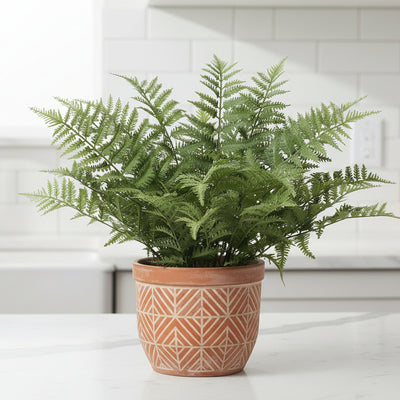 Künstliche Nephrolepis exaltata - 59cm - Tropisches Grün ohne Pflege