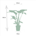 Strelitzia Nicolai & Monstera Deliciosa Pflanzen-Set (Ø19cm, ↕85cm / Ø21cm, ↕75cm) Bild 3