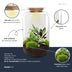 Eternal Terrarium XL DIY Set: Self-Sufficient Ecosystem for Your Home Bild 3