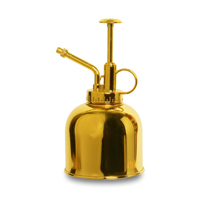 Goldene Edelstahl-Gießkanne 300 ml – Stilvolle Pflanzenpflege