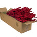Dried Wheat (Triticum) - Red, 4 Bunches, 60cm Bild 2
