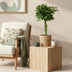 Green boutiQ - Zimmerpflanzen - Schefflera Nora - Fingerbaum - Wenig Pflege - Grün - 1 Pflanze - Topf 21cm - Höhe 70-82cm Bild 4