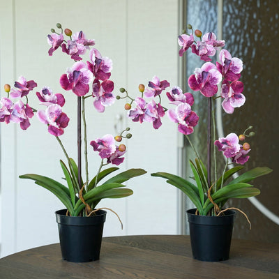 Orchidee Vanda rosa 2 Stück - Bündelprodukt - Kunstpflanzen