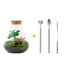 Bottle garden - Sammie Coffea - ↕ 26 cm - Rake + Shovel + Tweezers Bild 1
