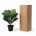 Kunst Ficus Lyrata (Geigenfeige) 40cm - Pflegeleicht & Naturgetreu Bild 6