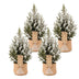 4x Picea glauca Conica - Zuckerhutfichte - Grün - Weiß - Weihnachtsbaum - inkl. Jutesack - Ø17cm - ↕65cm Bild 2