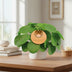 Pilea Peperomioides Zimmerpflanze Ø15cm - ↕30cm Bild 3