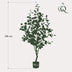 Artificial Eucalyptus Tree (Blue Gum) - 120 cm Bild 2