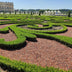 GreenboutiQ Buxus Kugel (30cm) - Mehltau-resistent, pflegeleicht Bild 5