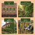 6x Parthenocissus tr. 'Veitchii Boskoop' Jungfernrebe Ø9cm - 35cm Bild 6