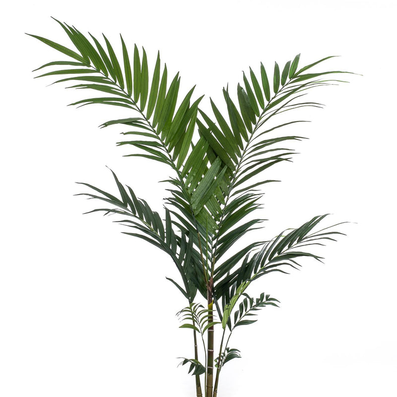 Kentia Palm Artificial Plant 150cm – Tropical Flair Without the Maintenance