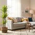 Dracaena Lemon Lime mit Korb, 130-150cm Bild 8