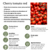 Cherry Tomato Plant in 14cm pot, 45cm high - Sweet Harvest! Bild 6