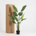 Artificial Strelitzia Nicolai - 180cm: Tropical Flair Without Maintenance Bild 6