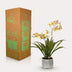 Künstliche Orchidee Gelb/Braun, 45cm – Langlebig & Pflegeleicht Bild 5