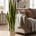 Kunstpflanze Sansevieria Trifasciata (Frauenzunge), 97 cm Bild 4