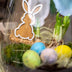 Emma Oster Offenes Terrarium DIY Kit - Frühlingsdeko & Geschenk Bild 3