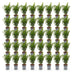 Green boutiQ - 40x Buxus sempervirens - Palmenbäumchen - Heckenpflanzen - Immergrün - Grün - Topf 9cm - Höhe 20-25cm Bild 10