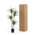 Kunst Dracaena 165cm - Künstliche Pflanze für stilvolles Ambiente Bild 6