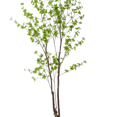 Kunstpflanze Tropaeolum Speciosum - Ostindische Kirsche, 210 cm