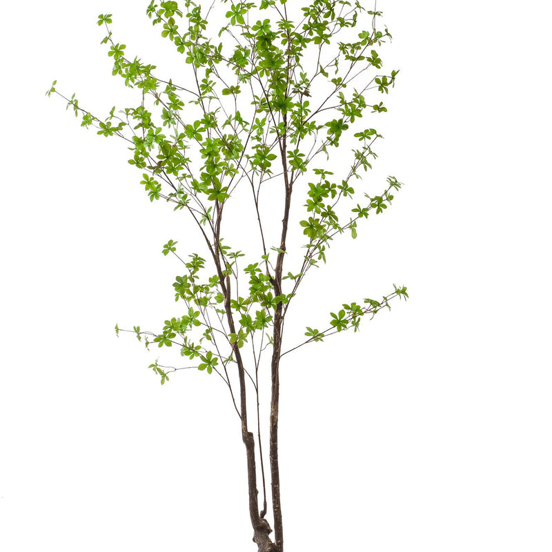 Kunstpflanze Tropaeolum Speciosum - Ostindische Kirsche, 210 cm