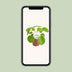 Pilea Peperomioides - Ø13cm - Aluminiumpflanze mit Silbermünz-Blättern Bild 5