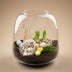 Emma Mini Oster Terrarium DIY Kit: Narcissus 'Tête-à-Tête' & Deko Bild 2