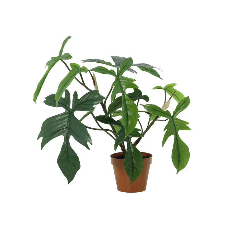 Künstlicher Philodendron Florida (44cm) - Tropisches Flair ohne Pflege