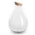 Terrarium-Flasche Drop XL Korken Ø 24 cm ↑ 37 cm, 12L, recyceltes Glas Bild 1