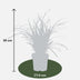 3x Carex morrowii 'Ice Dance' Ziergras, 30cm, Ø14 Bild 3