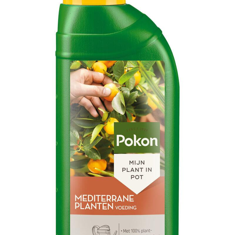 Pokon Mediterrane Pflanzennahrung 500 ml