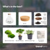 DIY-Terrarium Sammie – Dein eigenes Mini-Ökosystem Bild 3