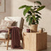 Green boutiQ - Zimmerpflanzen - Calathea Rufibarba - Pfauenpflanze - Wenig Pflege - mit Korb - Grün - 1 Pflanze - Topf 17cm - Höhe 55-60cm Bild 4