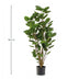 Artificial plant Polyscias tree, 105 cm Bild 2