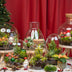 Holly Christmas terrarium - Bottle garden DIY kit - Ø 29 cm ↑ 30 Bild 5